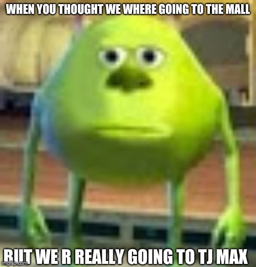 Sully Wazowski | WHEN YOU THOUGHT WE WHERE GOING TO THE MALL; BUT WE R REALLY GOING TO TJ MAX | image tagged in sully wazowski | made w/ Imgflip meme maker