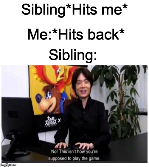 Sibing Meme #4 | Sibling*Hits me*; Me:*Hits back*; Sibling: | image tagged in blank white template,no this isn't how your supposed to play the game | made w/ Imgflip meme maker