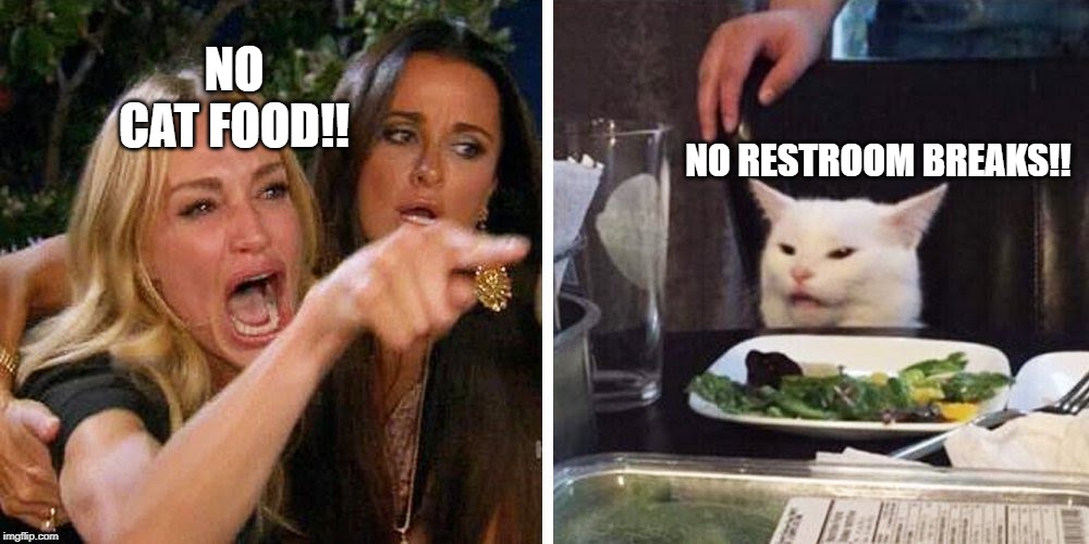 Smudge the cat | NO CAT FOOD!! NO RESTROOM BREAKS!! | image tagged in smudge the cat | made w/ Imgflip meme maker