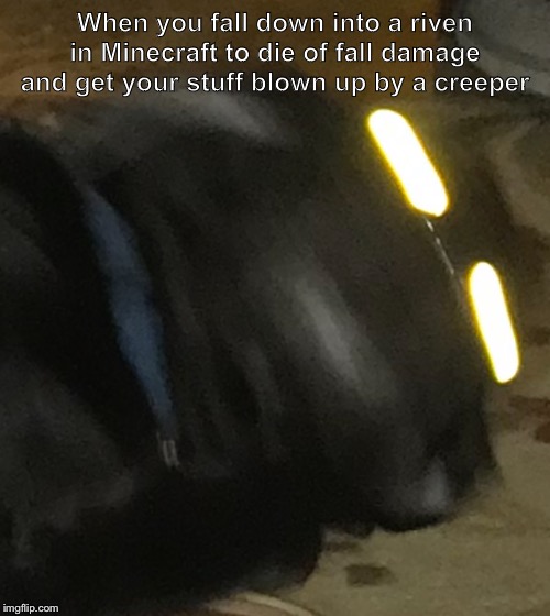 Owo | When you fall down into a riven in Minecraft to die of fall damage and get your stuff blown up by a creeper | image tagged in dog,minecraft | made w/ Imgflip meme maker