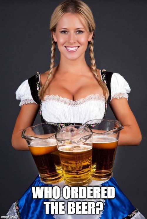 Beer | WHO ORDERED THE BEER? | image tagged in octoberfest girls,beer,beer girls | made w/ Imgflip meme maker