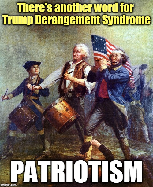 Country over Party. Constitution over Con Man. | There's another word for 
Trump Derangement Syndrome; PATRIOTISM | image tagged in the spirit of 76,patriotism,trump,trump derangement syndrome,united states of america | made w/ Imgflip meme maker