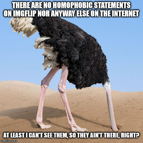 Theft of a Decade | THERE ARE NO HOMOPHOBIC STATEMENTS ON IMGFLIP NOR ANYWAY ELSE ON THE INTERNET AT LEAST I CAN'T SEE THEM, SO THEY AIN'T THERE, RIGHT? | image tagged in theft of a decade | made w/ Imgflip meme maker