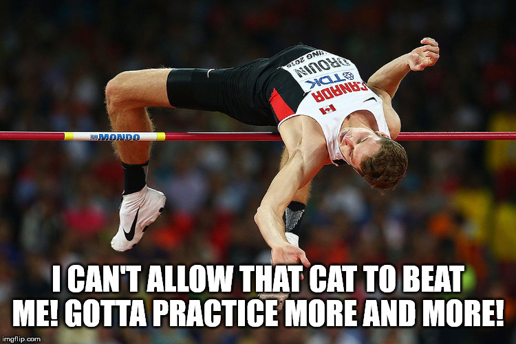 high jump | I CAN'T ALLOW THAT CAT TO BEAT ME! GOTTA PRACTICE MORE AND MORE! | image tagged in high jump | made w/ Imgflip meme maker