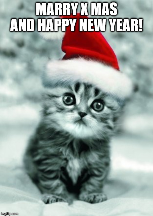 X-mas kitten | MARRY X MAS AND HAPPY NEW YEAR! | image tagged in x-mas kitten | made w/ Imgflip meme maker