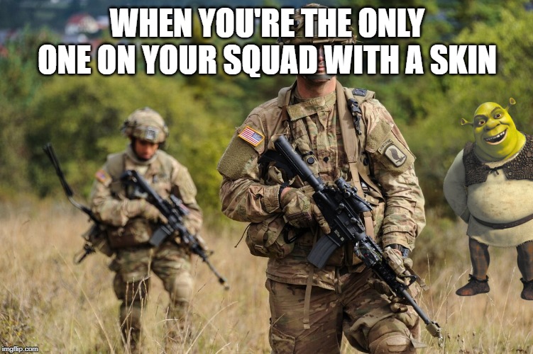 squad with shrek | WHEN YOU'RE THE ONLY ONE ON YOUR SQUAD WITH A SKIN | image tagged in shrek,squad,skin,army | made w/ Imgflip meme maker