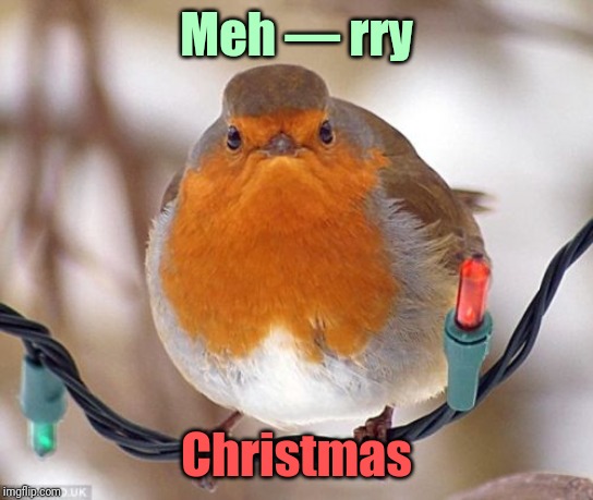 And a crabby New Year's | Meh — rry; Christmas | image tagged in memes,bah humbug,merry christmas,happy new year,derp,meanwhile on imgflip | made w/ Imgflip meme maker