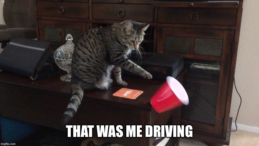 THAT WAS ME DRIVING | made w/ Imgflip meme maker