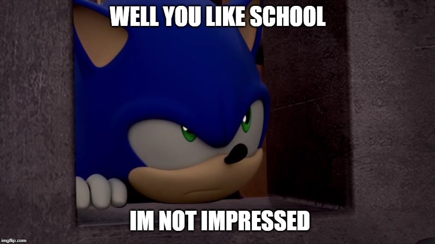 Sonic is Not Impressed - Sonic Boom | WELL YOU LIKE SCHOOL; IM NOT IMPRESSED | image tagged in sonic is not impressed - sonic boom | made w/ Imgflip meme maker