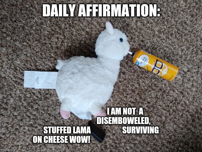 Be greatful | DAILY AFFIRMATION:; I AM NOT  A 
                              DISEMBOWELED,
STUFFED LAMA                     SURVIVING
ON CHEESE WOW! | image tagged in affirmation,inspiration | made w/ Imgflip meme maker