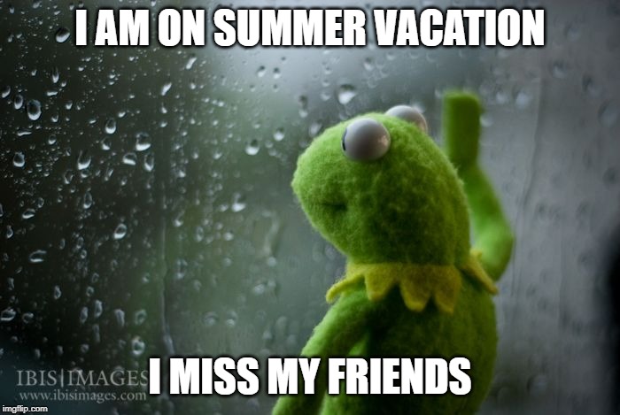 kermit window | I AM ON SUMMER VACATION; I MISS MY FRIENDS | image tagged in kermit window | made w/ Imgflip meme maker