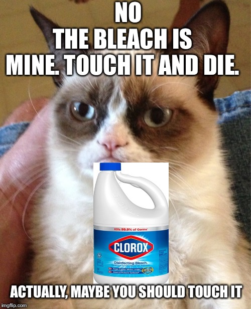 NO THE BLEACH IS MINE. TOUCH IT AND DIE. ACTUALLY, MAYBE YOU SHOULD TOUCH IT | made w/ Imgflip meme maker