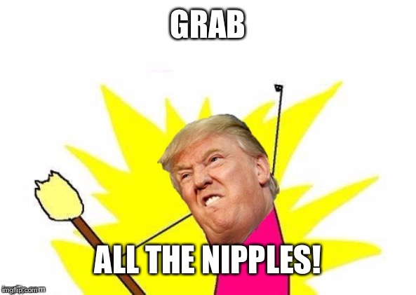 GRAB ALL THE NIPPLES! | image tagged in trump x all the y | made w/ Imgflip meme maker
