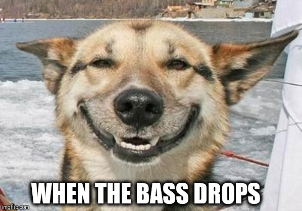 smiling dog | WHEN THE BASS DROPS | image tagged in smiling dog | made w/ Imgflip meme maker