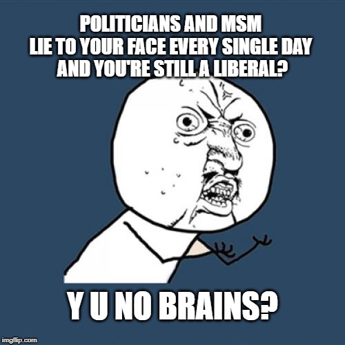 Y U No | POLITICIANS AND MSM 
LIE TO YOUR FACE EVERY SINGLE DAY 
AND YOU'RE STILL A LIBERAL? Y U NO BRAINS? | image tagged in memes,y u no | made w/ Imgflip meme maker