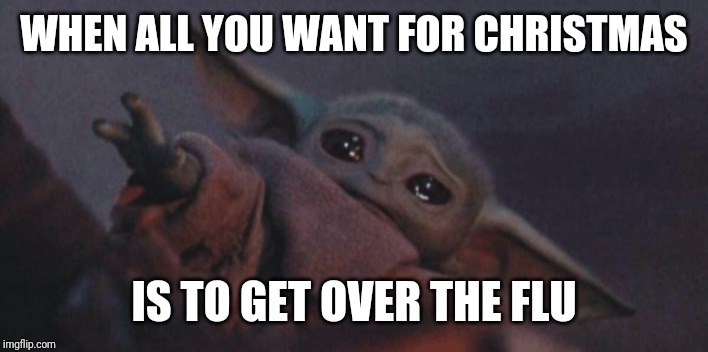 Baby yoda cry | WHEN ALL YOU WANT FOR CHRISTMAS; IS TO GET OVER THE FLU | image tagged in baby yoda cry | made w/ Imgflip meme maker