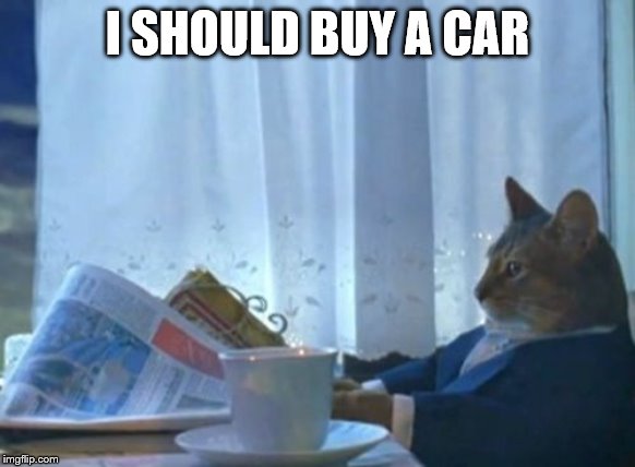 I Should Buy A Boat Cat Meme | I SHOULD BUY A CAR | image tagged in memes,i should buy a boat cat | made w/ Imgflip meme maker