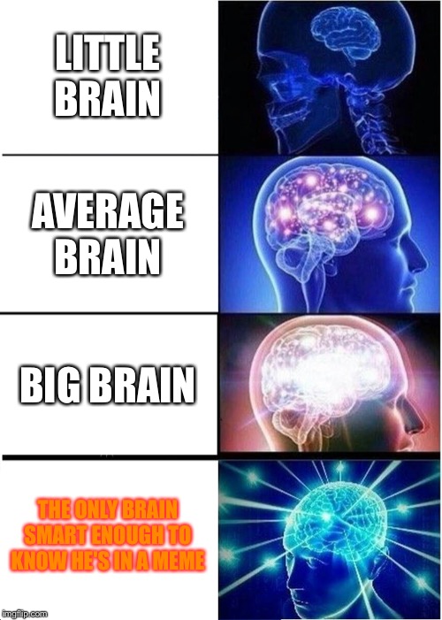 Expanding Brain | LITTLE BRAIN; AVERAGE BRAIN; BIG BRAIN; THE ONLY BRAIN SMART ENOUGH TO KNOW HE'S IN A MEME | image tagged in memes,expanding brain | made w/ Imgflip meme maker