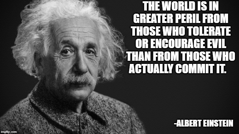 THE WORLD IS IN GREATER PERIL FROM THOSE WHO TOLERATE OR ENCOURAGE EVIL THAN FROM THOSE WHO ACTUALLY COMMIT IT. -ALBERT EINSTEIN | image tagged in political meme | made w/ Imgflip meme maker