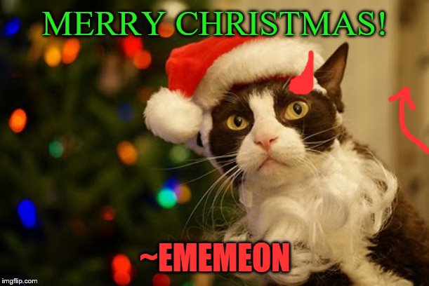 Sorry, I wasn't on all day due to it being Christmas. I was celebrating with my fam. | MERRY CHRISTMAS! ~EMEMEON | image tagged in merry christmas,cats | made w/ Imgflip meme maker
