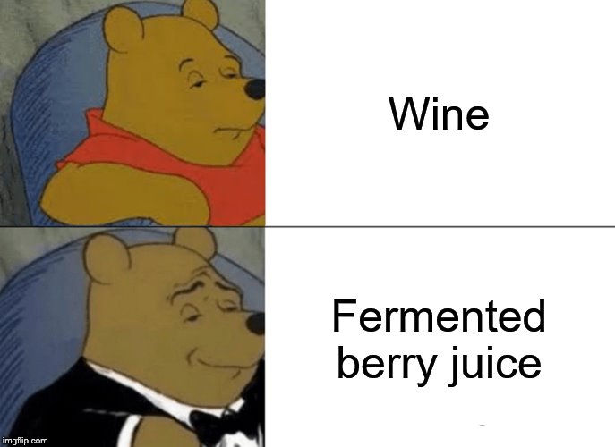 Tuxedo Winnie The Pooh Meme | Wine; Fermented berry juice | image tagged in memes,tuxedo winnie the pooh | made w/ Imgflip meme maker