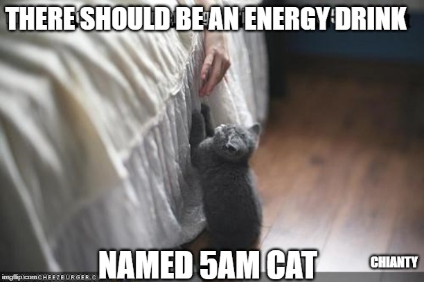 5am | THERE SHOULD BE AN ENERGY DRINK; CHIANTY; NAMED 5AM CAT | image tagged in energy drinks | made w/ Imgflip meme maker