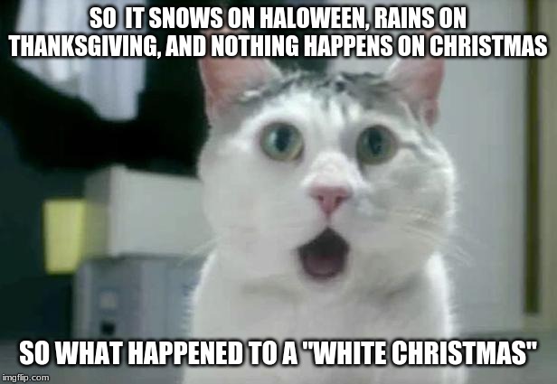 NATURE IS CONFUSING | SO  IT SNOWS ON HALOWEEN, RAINS ON THANKSGIVING, AND NOTHING HAPPENS ON CHRISTMAS; SO WHAT HAPPENED TO A "WHITE CHRISTMAS" | image tagged in memes,omg cat | made w/ Imgflip meme maker