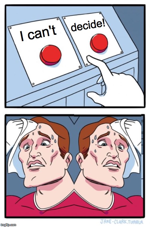 Two Buttons Meme | I can't decide! | image tagged in memes,two buttons | made w/ Imgflip meme maker