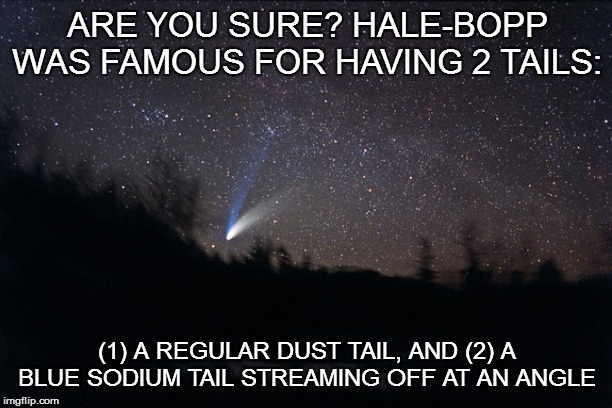ARE YOU SURE? HALE-BOPP WAS FAMOUS FOR HAVING 2 TAILS: (1) A REGULAR DUST TAIL, AND (2) A BLUE SODIUM TAIL STREAMING OFF AT AN ANGLE | made w/ Imgflip meme maker
