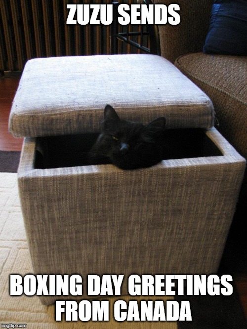 ZUZU SENDS; BOXING DAY GREETINGS 
FROM CANADA | made w/ Imgflip meme maker