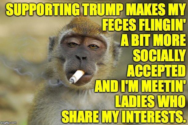 Yeah. | SUPPORTING TRUMP MAKES MY
FECES FLINGIN'
A BIT MORE
SOCIALLY
ACCEPTED; AND I'M MEETIN'
LADIES WHO
SHARE MY INTERESTS. | image tagged in smoking monkey,memes,trump,yeah | made w/ Imgflip meme maker