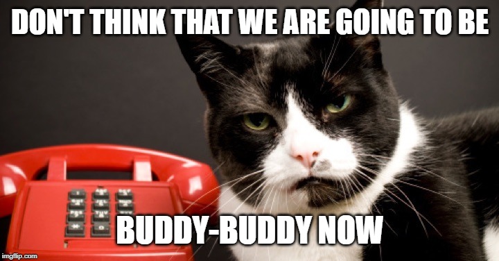 DON'T THINK THAT WE ARE GOING TO BE BUDDY-BUDDY NOW | made w/ Imgflip meme maker