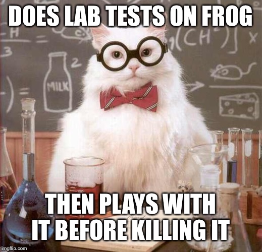 cat scientist | DOES LAB TESTS ON FROG THEN PLAYS WITH IT BEFORE KILLING IT | image tagged in cat scientist | made w/ Imgflip meme maker