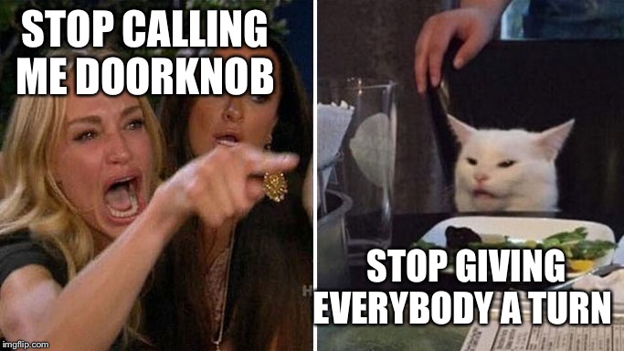 Angry lady cat | STOP CALLING ME DOORKNOB; STOP GIVING EVERYBODY A TURN | image tagged in angry lady cat | made w/ Imgflip meme maker