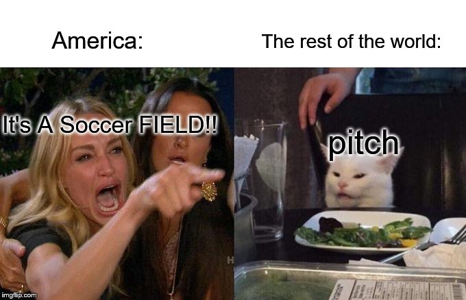 The stupidest name for a field EVER. | The rest of the world:; America:; It's A Soccer FIELD!! pitch | image tagged in memes,woman yelling at cat,soccer,world cup,'murica | made w/ Imgflip meme maker