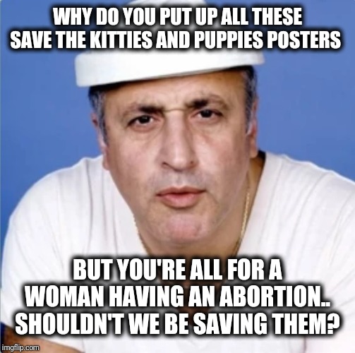 Mel Sharples | WHY DO YOU PUT UP ALL THESE SAVE THE KITTIES AND PUPPIES POSTERS; BUT YOU'RE ALL FOR A WOMAN HAVING AN ABORTION.. SHOULDN'T WE BE SAVING THEM? | image tagged in mel sharples | made w/ Imgflip meme maker