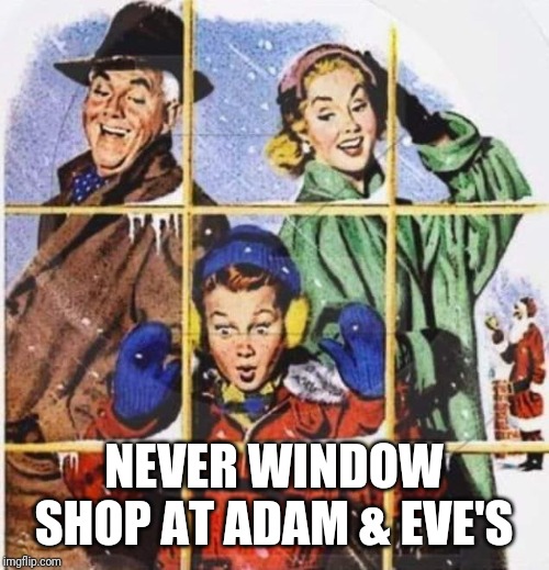 That's No Doggy or Is It? | NEVER WINDOW SHOP AT ADAM & EVE'S | image tagged in windows,shopping,christmas | made w/ Imgflip meme maker