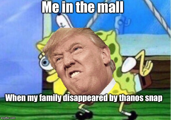 Mocking Spongebob | Me in the mall; When my family disappeared by thanos snap | image tagged in memes,mocking spongebob | made w/ Imgflip meme maker