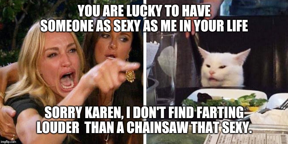 Smudge the cat | YOU ARE LUCKY TO HAVE SOMEONE AS SEXY AS ME IN YOUR LIFE; SORRY KAREN, I DON'T FIND FARTING LOUDER  THAN A CHAINSAW THAT SEXY. | image tagged in smudge the cat | made w/ Imgflip meme maker