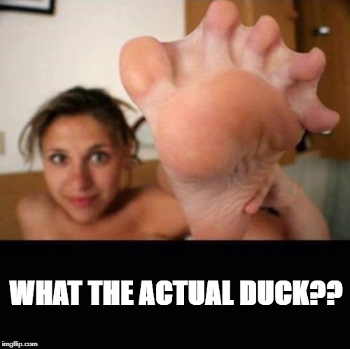 What the actual duck?? | WHAT THE ACTUAL DUCK?? | image tagged in feet,bigfoot,flipper | made w/ Imgflip meme maker