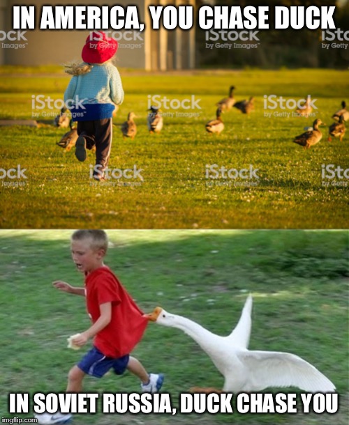 Duck | IN AMERICA, YOU CHASE DUCK; IN SOVIET RUSSIA, DUCK CHASE YOU | image tagged in in soviet russia,duck,fail,funny,memes,america | made w/ Imgflip meme maker