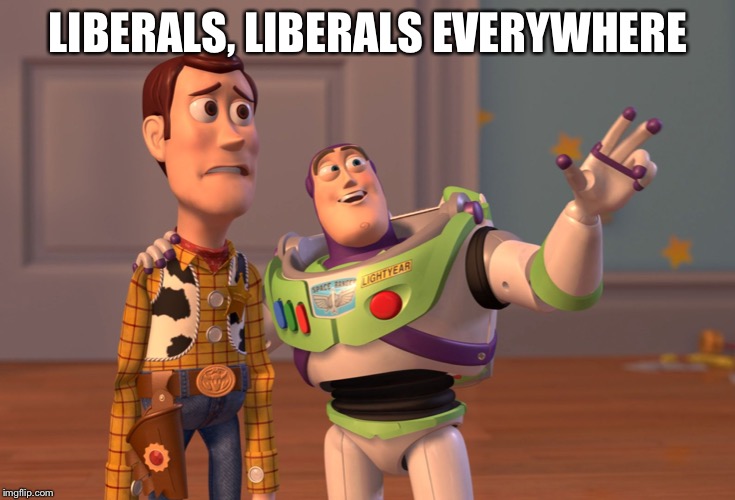 Lol | LIBERALS, LIBERALS EVERYWHERE | image tagged in memes,x x everywhere,liberals,funny | made w/ Imgflip meme maker