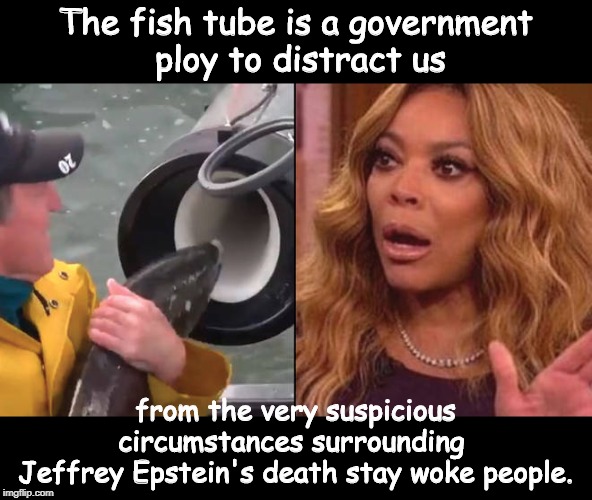 The fish tube | The fish tube is a government
 ploy to distract us; from the very suspicious circumstances surrounding 
Jeffrey Epstein's death stay woke people. | image tagged in politics | made w/ Imgflip meme maker
