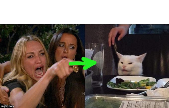 Woman Yelling At Cat Meme | image tagged in memes,woman yelling at cat | made w/ Imgflip meme maker