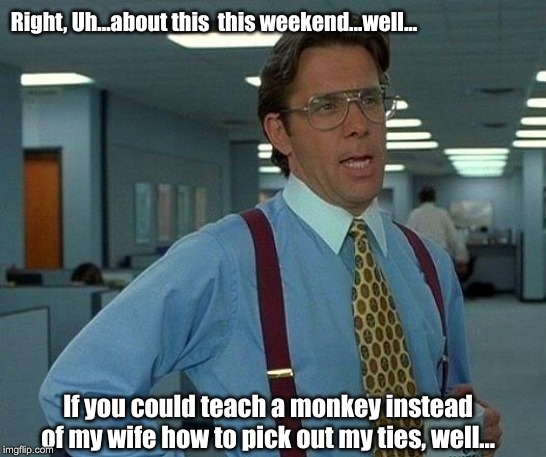 "Ain't no Sunshine when she's gone..." | Right, Uh...about this  this weekend...well... If you could teach a monkey instead of my wife how to pick out my ties, well... | image tagged in memes,that would be great,monkeys,bill withers | made w/ Imgflip meme maker