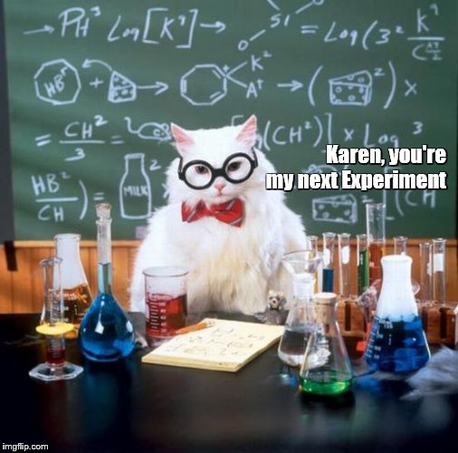 Chemistry Cat | Karen, you're my next Experiment | image tagged in memes,chemistry cat | made w/ Imgflip meme maker