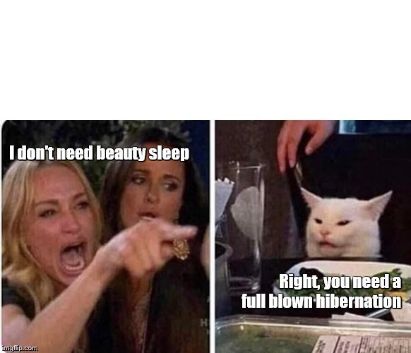 Lady screams at cat | I don't need beauty sleep; Right, you need a full blown hibernation | image tagged in lady screams at cat | made w/ Imgflip meme maker
