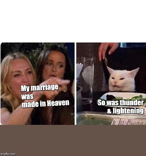 Lady screams at cat | My marriage was made in Heaven; So was thunder & lightening | image tagged in lady screams at cat | made w/ Imgflip meme maker