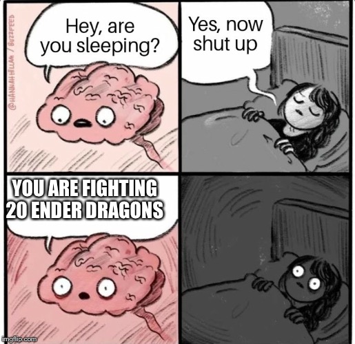 OMG | YOU ARE FIGHTING 20 ENDER DRAGONS | image tagged in hey are you sleeping | made w/ Imgflip meme maker