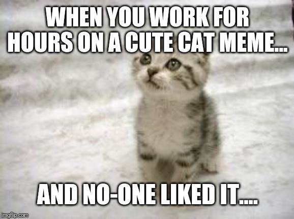 Sad Cat | WHEN YOU WORK FOR HOURS ON A CUTE CAT MEME... AND NO-ONE LIKED IT.... | image tagged in memes,sad cat | made w/ Imgflip meme maker